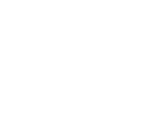 Nestworkgames