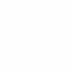 Nestworkgames